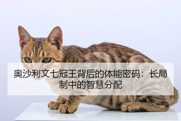 奥沙利文七冠王背后的体能密码：长局制中的智慧分配